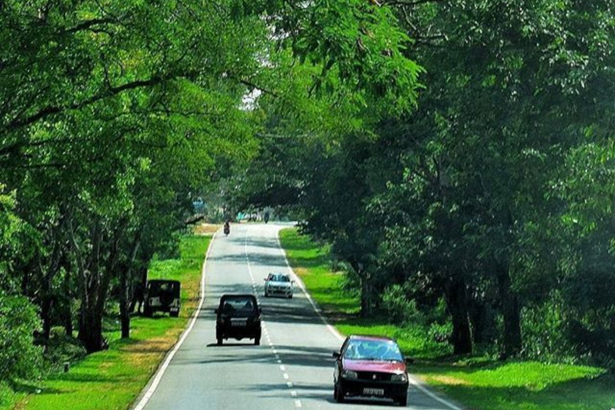 Long Drive Destinations